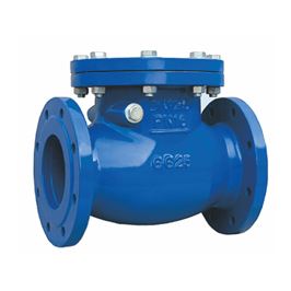 Check Valve manufacturer in india